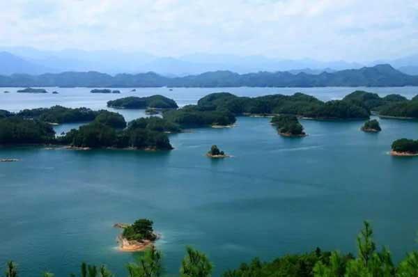 關(guān)于老鼠,你知道多少?