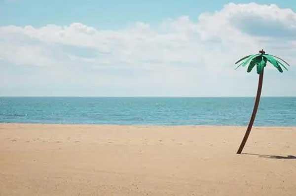 蚊子生活習性之幼蟲孳生習性