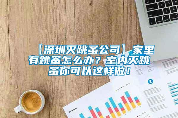 【深圳滅跳蚤公司】家里有跳蚤怎么辦？室內(nèi)滅跳蚤你可以這樣做！