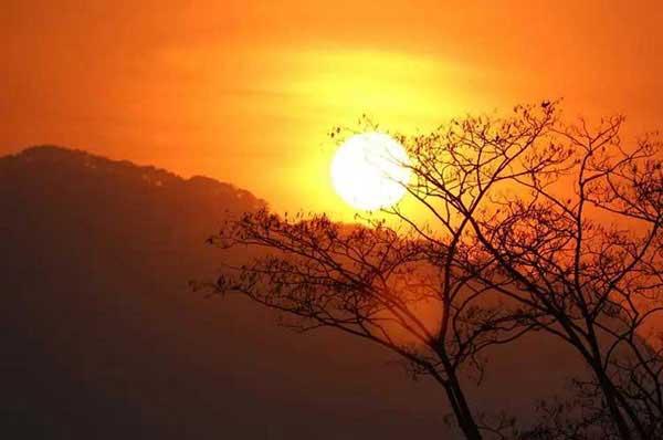 【殺蟲公司】恐怖!小區地下室成跳蚤成災,半分鐘就可以爬滿腿部!