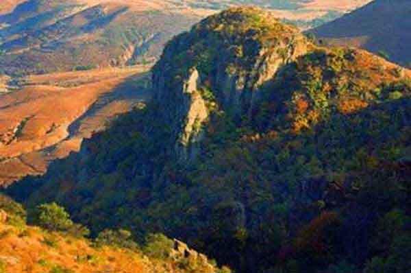 家里發(fā)現(xiàn)螞蟻怎么辦？怎么消滅螞蟻？