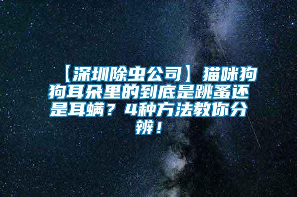 【深圳除蟲公司】貓咪狗狗耳朵里的到底是跳蚤還是耳螨？4種方法教你分辨！