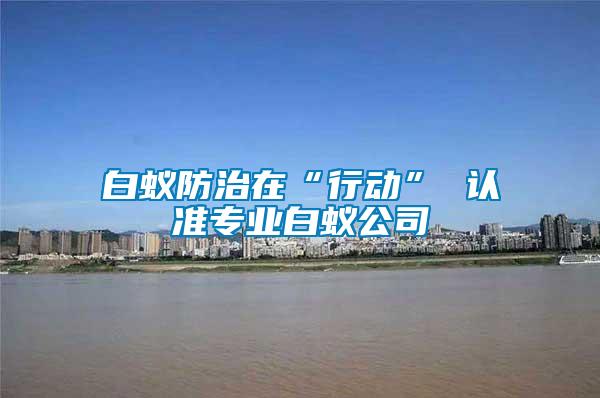 白蟻防治在“行動” 認準專業白蟻公司