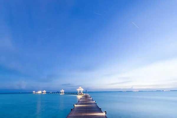 家庭滅鼠好方法，2招教你如何滅鼠更徹底