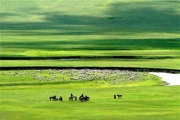 深圳家庭殺臭蟲服務(wù)價(jià)格，公司上門殺一次臭蟲多少錢？