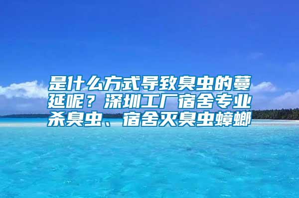 是什么方式導(dǎo)致臭蟲的蔓延呢?深圳工廠宿舍專業(yè)殺臭蟲、宿舍滅臭蟲蟑螂