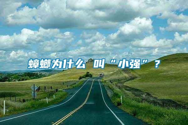 蟑螂為什么 叫“小強”?