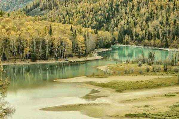 家里有臭蟲怎么消滅?被臭蟲咬了怎么辦?這些方法請收好!