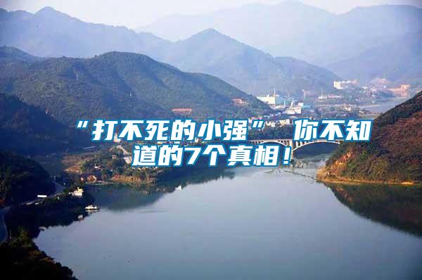 “打不死的小強” 你不知道的7個真相！