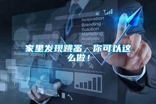 家里發現跳蚤，你可以這么做！