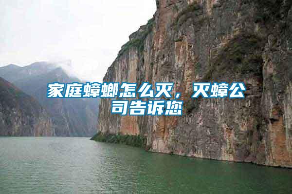 家庭蟑螂怎么滅，滅蟑公司告訴您