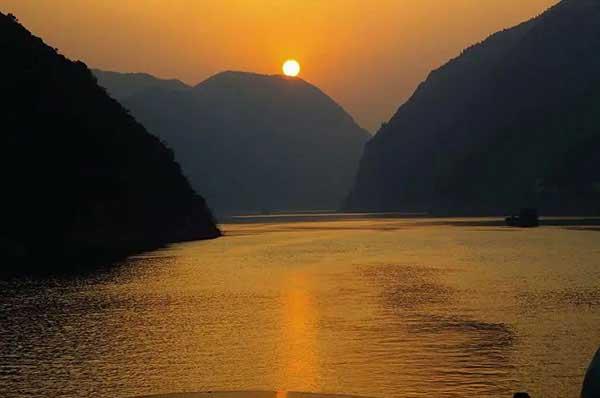 滅蟲公司，大家都需要