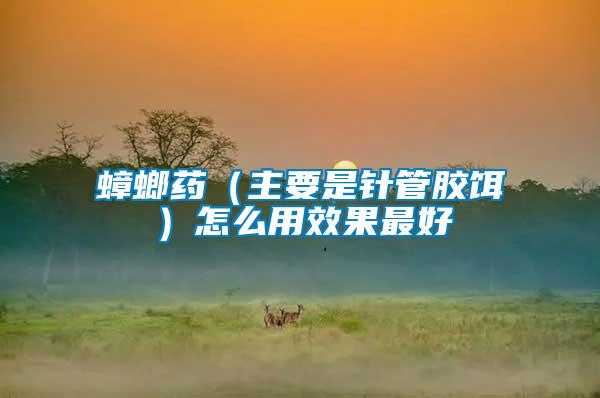 蟑螂藥(主要是針管膠餌)怎么用效果最好