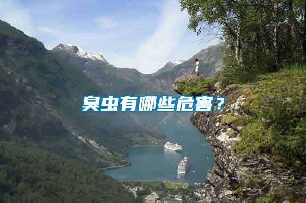 臭蟲有哪些危害?