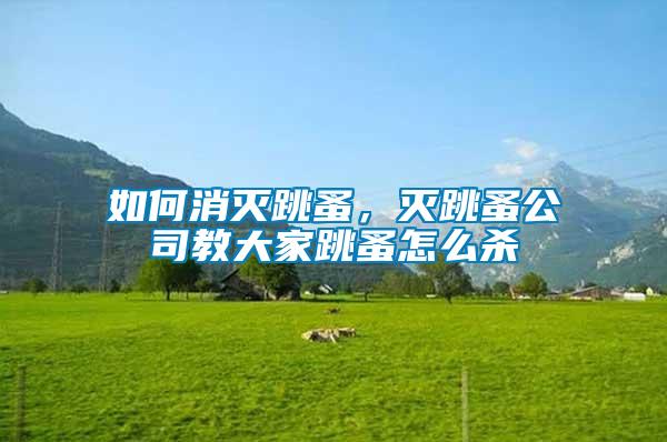 如何消滅跳蚤,滅跳蚤公司教大家跳蚤怎么殺