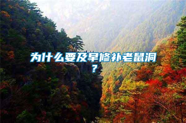 為什么要及早修補老鼠洞?