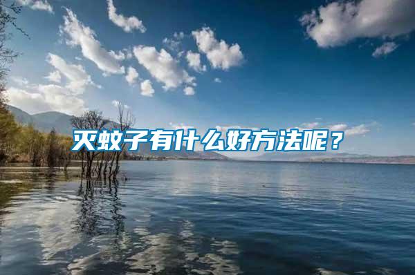 滅蚊子有什么好方法呢？