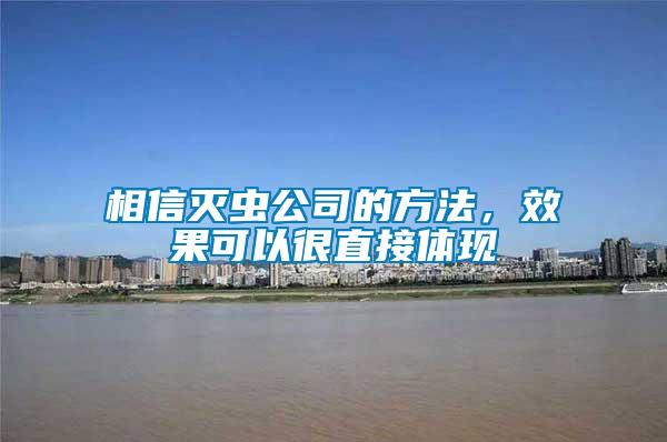 相信滅蟲公司的方法,效果可以很直接體現