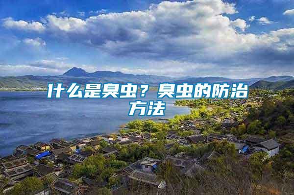 什么是臭蟲(chóng)?臭蟲(chóng)的防治方法