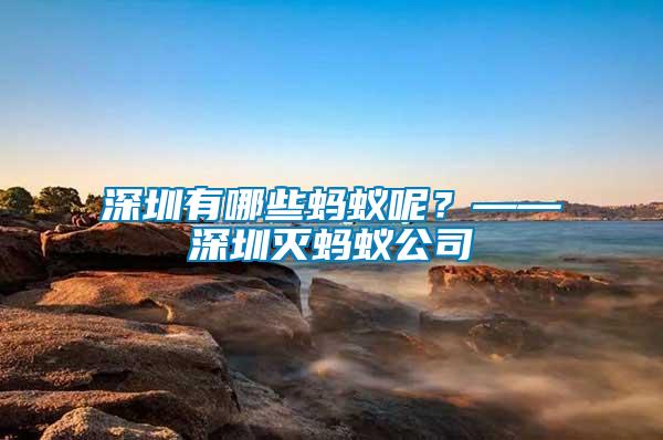 深圳有哪些螞蟻呢?——深圳滅螞蟻公司