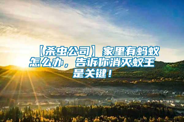 【殺蟲公司】家里有螞蟻怎么辦，告訴你消滅蟻王是關鍵！