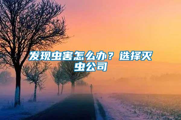 發現蟲害怎么辦?選擇滅蟲公司