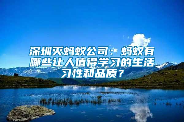 深圳滅螞蟻公司：螞蟻有哪些讓人值得學習的生活習性和品質？