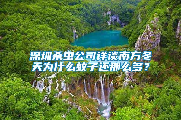 深圳殺蟲(chóng)公司詳談南方冬天為什么蚊子還那么多？