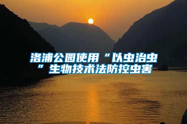 洛浦公園使用“以蟲治蟲”生物技術法防控蟲害