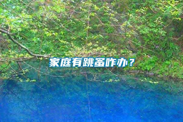 家庭有跳蚤咋辦？