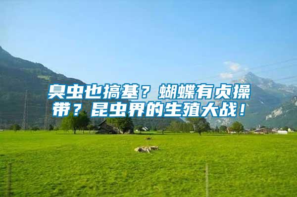 臭蟲也搞基？蝴蝶有貞操帶？昆蟲界的生殖大戰！