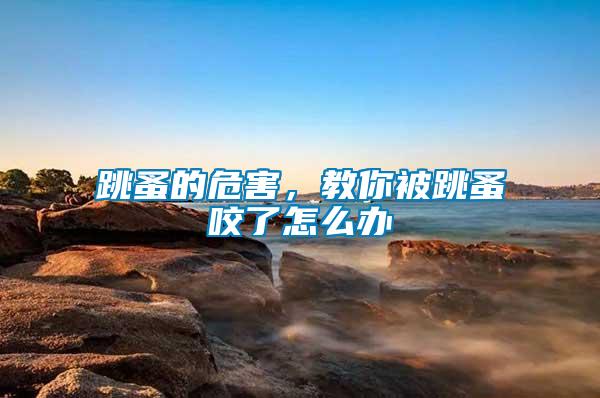 跳蚤的危害，教你被跳蚤咬了怎么辦