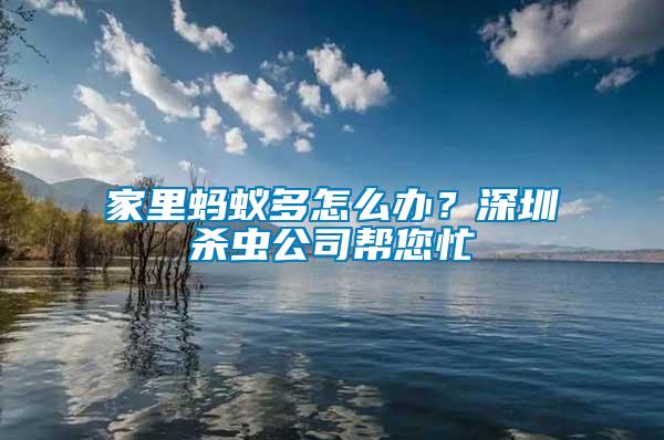 家里螞蟻多怎么辦？深圳殺蟲公司幫您忙