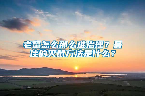 老鼠怎么那么難治理？最佳的滅鼠方法是什么？
