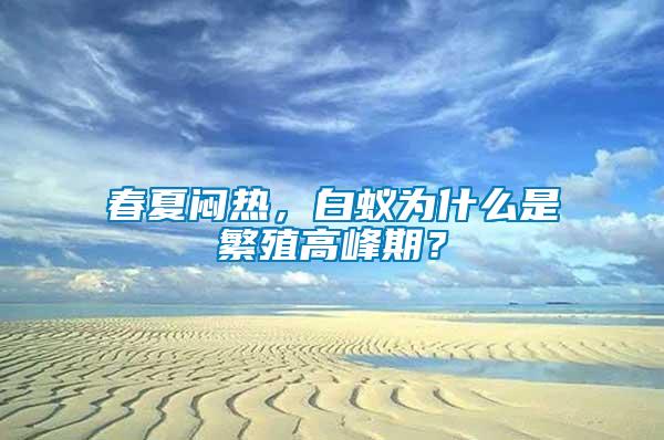 春夏悶熱,白蟻為什么是繁殖高峰期?