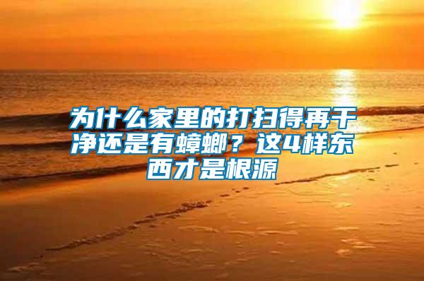 為什么家里的打掃得再干凈還是有蟑螂？這4樣東西才是根源
