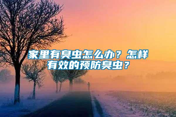 家里有臭蟲怎么辦？怎樣有效的預防臭蟲？