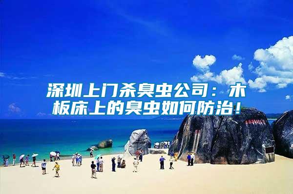 深圳上門殺臭蟲公司：木板床上的臭蟲如何防治！
