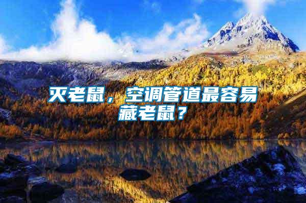 滅老鼠，空調(diào)管道最容易藏老鼠？