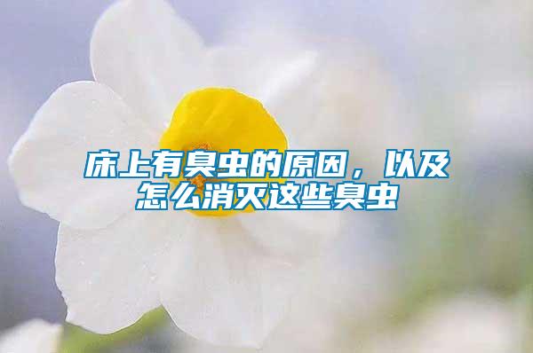 床上有臭蟲的原因,以及怎么消滅這些臭蟲
