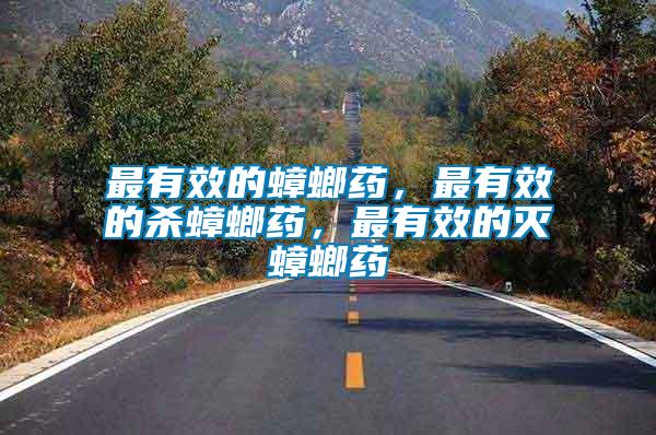 最有效的蟑螂藥,最有效的殺蟑螂藥,最有效的滅蟑螂藥