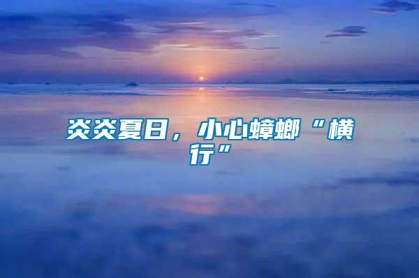 炎炎夏日,小心蟑螂“橫行”