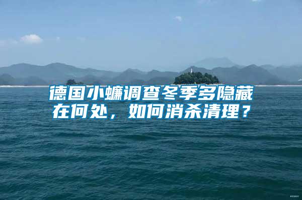 德國小蠊調(diào)查冬季多隱藏在何處，如何消殺清理？