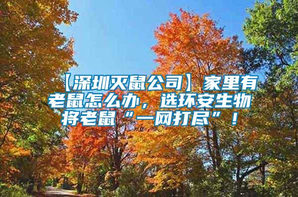 【深圳滅鼠公司】家里有老鼠怎么辦,選環安生物將老鼠“一網打盡”!