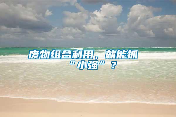 廢物組合利用，就能抓“小強”？