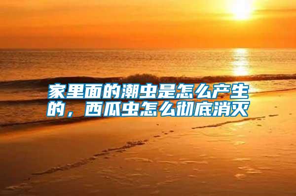 家里面的潮蟲是怎么產生的,西瓜蟲怎么徹底消滅