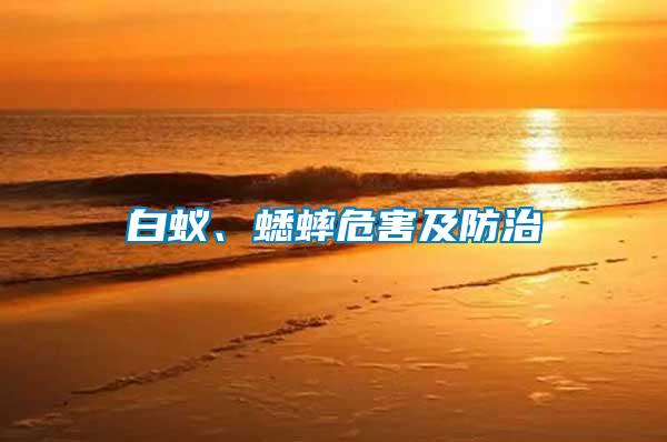 白蟻、蟋蟀危害及防治