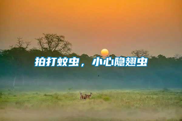 拍打蚊蟲,小心隱翅蟲