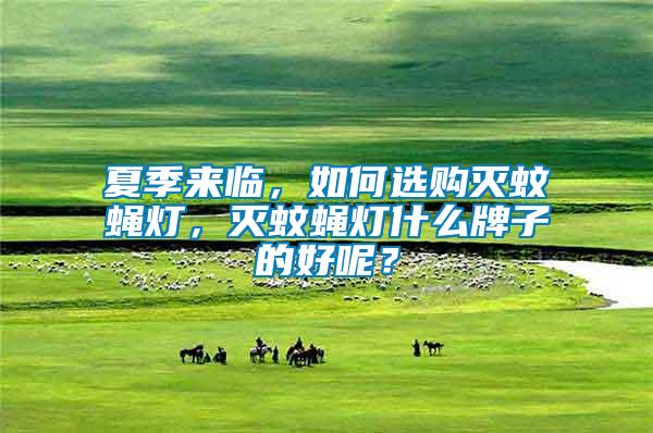 夏季來臨，如何選購滅蚊蠅燈，滅蚊蠅燈什么牌子的好呢？