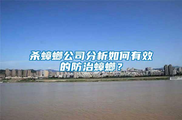 殺蟑螂公司分析如何有效的防治蟑螂？